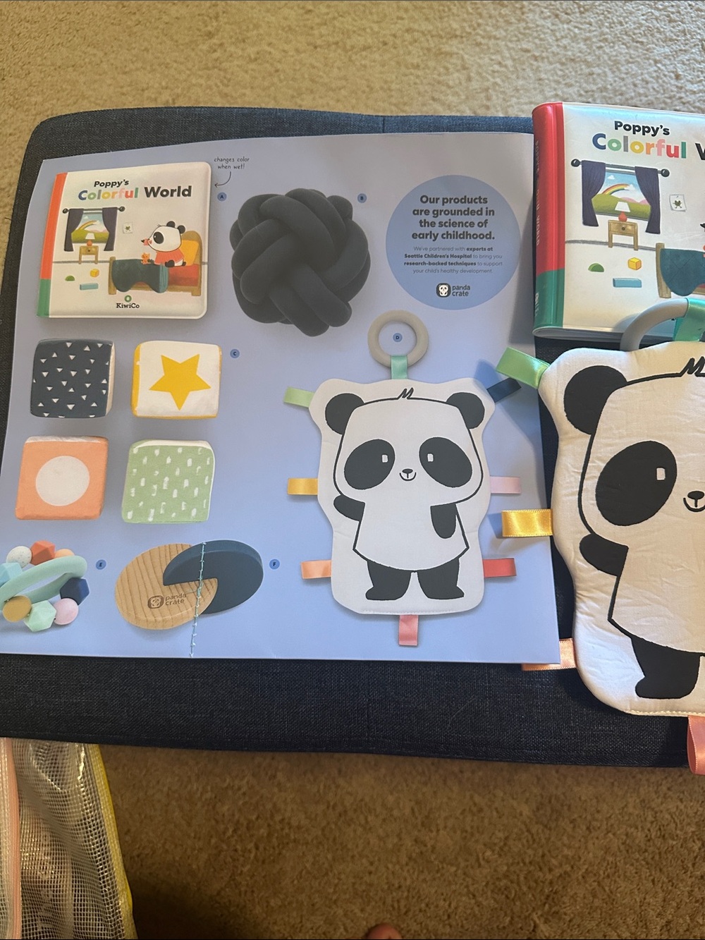 Kiwico Sense with Me learning kit